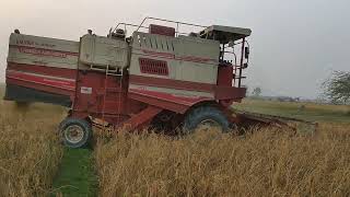 धान की कटाई मशीन से #kusum prem #videoviral#shorts