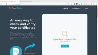 Part 2 - What Happens When An OpenCerts Credential Is Invalid, Tampered Or Revoked (IBS, 2020)