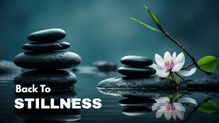 Back to Stillness | Japanese Zen Meditation Music | Wild Desk Melody