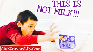 THIS IS NOT MILK! | Alex University