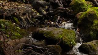 Texture & Light - This Too Shall Pass (Official Video)