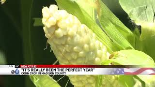 Rachael Penton- Corn Crops Doing Well but Need Rain