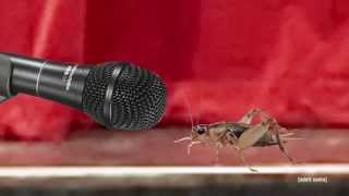 Episode 3 | HyperToe | Adult Swim