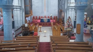 Mark Patterson Live Stream