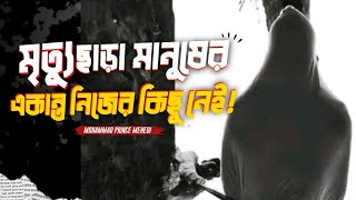 জীবনের এই অধ্যায় কে উপলব্ধি করার দরকার! | Islamic reminder 🪄