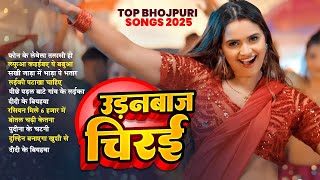#Viral Song | Shilpi Raj | उड़नबाज रजऊ | Feat : Anisha Pandey | Udanbaj Rajau | Bhojpuri Song 2025