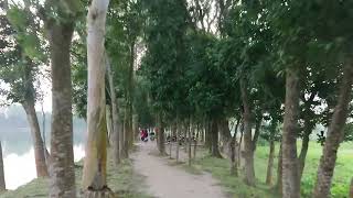 ঘোরা ঘুরি