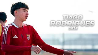 Tiago Rodrigues - Aesthetically Pleasing to Watch