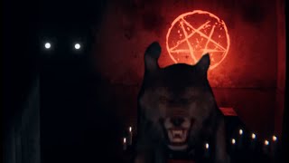 Dog lovers club | Night People