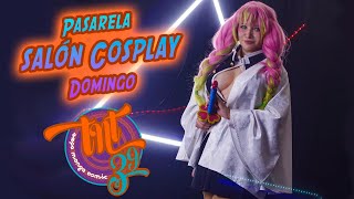 Pasarela Salón Cosplay - Domingo, en Expo TNT 39