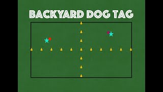Backyard Dog Tag - Primary P.E. Game