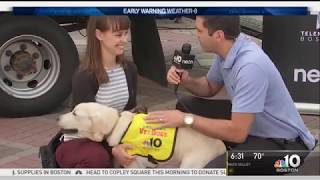 7.11.18 NBC 10 Boston Puppy Brady Live with Weather Warrior