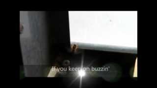 "Buzzing on the same spot" - Stuck in life and not going anywhere? Here's a tip!