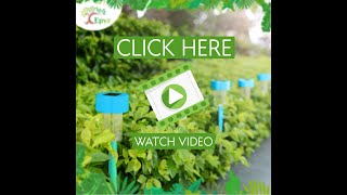 Epyz Coloring Solar Lights Outdoor Garden LED Landscape Lighting | Lawn | Yard | Pathway | Walkway