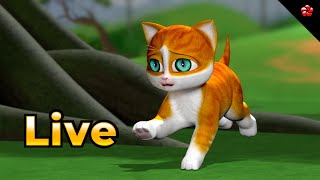 🔴 LIVE 🎉 New Full Tamil Cartoon Live 2025 | Kathu 🐱 Pattampoochi 🎶 Pupi 🐶