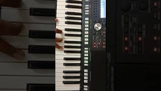 Chalunaya chalunaya nee Krupa naku song instrumental music
