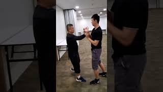 Some free flow Chi Sau - Rae Tan (Wing Chun)