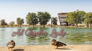 Al Qudra Lake at Dusk ~ Dubai UAE