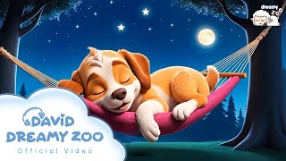 Gentle Journey - David Dreamy Zoo