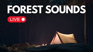 🔴 LIVE 24/7 Forest Sounds for Sleeping & Relaxation 🌲 Crickets, Night Ambience