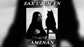 Vnas - Amenan // 2025 //Վնաս - Ամենան // (Չհելած)