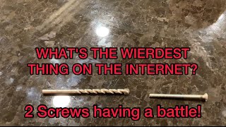 WHAT'S THE WIERDEST THING ON THE INTERNET?  Two screws in a battle!