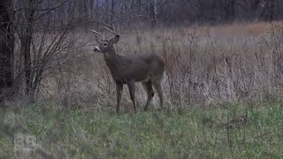 3B Outdoors TV - Kentucky Buck Hunt