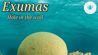 Scuba Diving The Eleuthera Bahamas Hole in the Wall