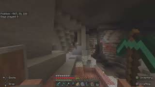 Suicide 
