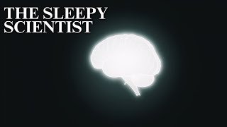 What Really Happens When You Sleep? | Science for Sleep