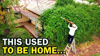 This FORGOTTEN Home Was a Living NIGHTMARE! – I Gave It LIFE Again
