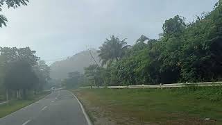 foggy morning, traveling to work