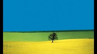 FRANCO FONTANA  Jazz