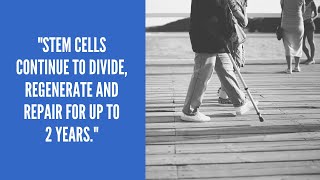 How Long Does It Take Stem Cells to Work?