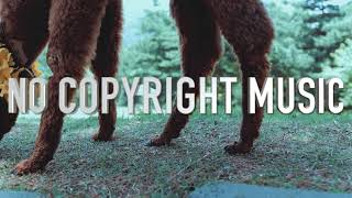 Life is Sweet - Music For Content Creators (No Copyright)