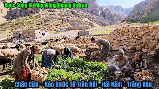 Nomadic Life in Iran - Nade Pulling Water, Gathering Mushrooms, Growing Vegetables for Survival i...
