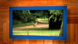 laposte tousarbitres 17012014 v3 MP4