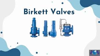 Birkett Valves Explained: Functionality, Applications, and Emerson’s Expertise