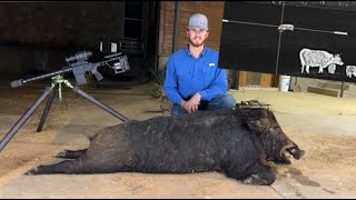 College Boy Kills BIGGEST pig of his LIFE!!! || AGM Clarion 640