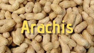 Εξαγωγή και Αλωνισμός Αράπικου Φυστικιού | JKDroner | DJI Mini 2