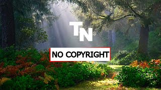 TWO LITTLE BUMS | THE GREAT NORTH SOUND SOCIETY (NO COPYRIGHT) AUDIO LIBRARY | FREE MUSIC