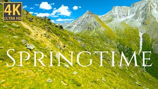 Springtime ☘️ Green Nature, Flowing Water, Birds Chirping Sound