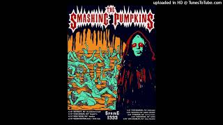 Smashing Pumpkins - Blue Skies Bring Tears (Live 1999 SBD Arising Tour Bogart's, Cincinnati)