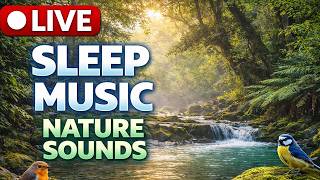 🔴 LIVE Calm River Sounds & Birds 🐦 24/7 Nature Ambience for Deep Sleep & Stress Relief