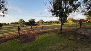 2024 02 06 Cowra Private Field 1