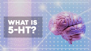 How Psychedelics affect Serotonin - Professor David Nutt on the New Science of Psychedelic therapy.