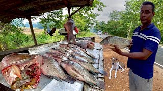 Hidden Discovery! How Sri Lankan Fisherman Adapt to a Changing World