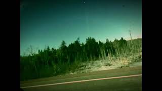 Ricky Murder - Flower king