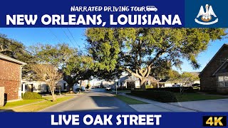 🌳 Live Oak Street, New Orleans, Louisiana 🌳 4K Drive