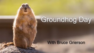 Groundhog Day — Bruce Grierson (February 2, 2025)